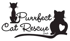 We are a charity based in milton keynes, dedicated to giving stray and unwanted cats a second chance. Purrfect Cat Rescue