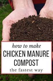 How To Compost Chicken Manure In Just 18 Days Chicken Manure Manure Composting Chicken Manure Compost