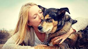 Pet home euthanasia service offers in home pet euthanasia as well as pet cremation and aftercare for owners in los angeles county, orange county, riverside county , san bernardino county and surrounding areas. Pet Euthanasia Services Near Me 21050 Hickory Veterinary Hospital