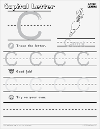 Free worksheet templates to practice spelling, sentence formation or make free writing worksheets. Free Editable Name Tracing Printable Worksheets For Practice To Make Spelling And Sheets How This That Grade 1 Turtle Preschoolers 1st Counting Vacation Budget Template Google Personal Calamityjanetheshow