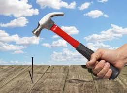 Check spelling or type a new query. Use Screw Or Nail The Wood The Basic Woodworking