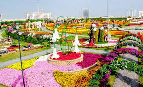 El Jardin Mas Grande Del Mundo Esta En Dubai Rasteniya Topiar Dubaj