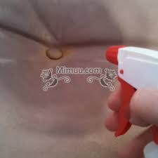 Temizlik Panosundaki Pin