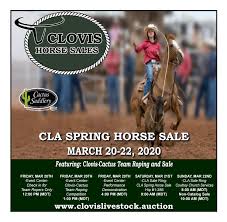 The relentless team roper is one of the most beautiful and functional saddles made by cactus. Clovis Horse Sales Summer 2020 Catalog By Clovislivestock Issuu