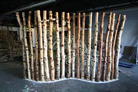 Maybe you would like to learn more about one of these? 24 Silver Birch Tree Trunks Ideas Silver Birch Traditional Interior Birch Tree