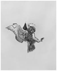 Bird Of Prey Tattoo Designs Pin By Kim Calitz On Design With Images Bird Of Prey Tattoo Owl Tattoo Drawings Owl Tattoo