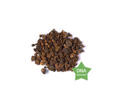 Image result for Cola clavata