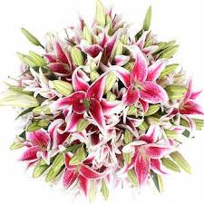 You can reach the below contact for queries on costco products, online shopping, refund or cancellation, store locations i attempted to order mothers day flowers for my mother in winnipeg. Bulk Flowers Costco