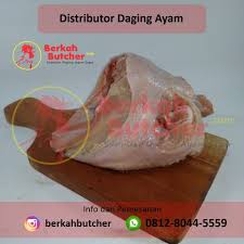 Pin Di Distributor Daging Ayam