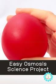 Pin On Science Experiments