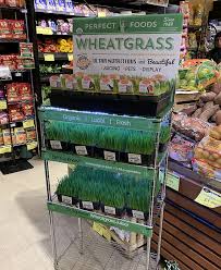 Please click on the service button that applies to you. Cool Cat Wheatgrass Pet Treat Perfect Foods Inc 800wheatgrass Com