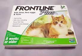 Frontline Plus For Cat 8 Weeks Or Older 6 Months Doses For Flea Tick Control Frontline Cats And Kittens Cat Safe Plants Cat Fleas