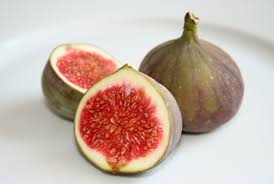Over 130 varieties sold bareroot, with selected pot grown varieties outside the winter planting season. Ficus Carica Fig Tree Ø´Ø¬Ø±Ø© Ø§Ù„ØªÙŠÙ† Buy Online Green Souq Uae
