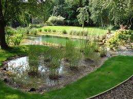 Natural Swimming Pool Design