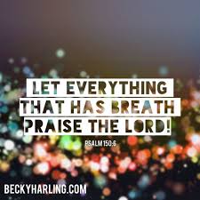 Let Everything That Has Breath Praise The Lord Bible Verse Let Everything That Has Breath Praise The Lord Thepraisechallenge Beckyharling Bible Verse Praise The Lords Praise Scripture