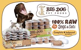 Give your cat food designed for her. Big Dog Barf Pet Food In Singapore Up To 12 Off Pawpy Kisses