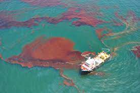 This epidemic once happened in malaysia when oil spilled into a. Addressing Marine Pollution From Oil Spills With Effective Dispersion Modelling Cmems