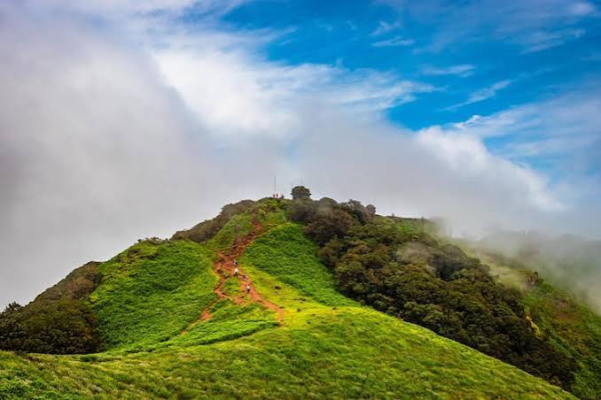 Chickmagalur coffee plantations with misty hills