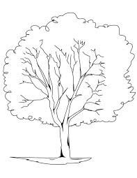 This lovely doodle colouring page of autumn leaves falling from an abstract autumn tree is going to be fun for older children and adults alike to colour in. Planting Oak Tree Coloring Page Color Luna
