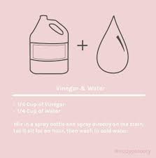 Let this mixture sit on the stain for 30 to 60 minutes. Pin By Nellya Shilo On Cleaning Tips Stains Arm Pit Stains White Shirts