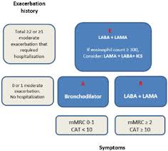 Image result for COPD Exacerbation Decision Tool
