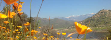 Maybe you would like to learn more about one of these? Sequoia Sightseeing Tours