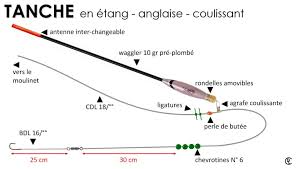 Comment Pecher La Tanche A L Anglaise Coulissant En Etang