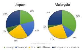 pie chart archives ted ielts