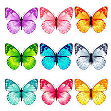 Butterflywave glasswing nampaknya paling cantik dengan sayap kaca telusinya. Koleksi Grafik Vektor Rama Rama Yang Indah Gambar Unduh Gratis Imej 450006475 Format Eps My Lovepik Com