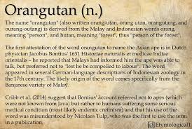 Maybe you would like to learn more about one of these? Etymological Photos Facebook