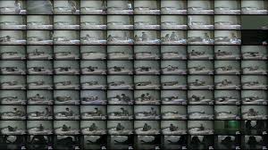 Figueroa Agosto Rapando De A Duro - XNXX.COM