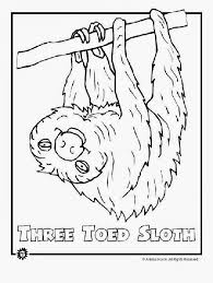 More 100 coloring pages from animal coloring pages category. Cute Rainforest Coloring Pages