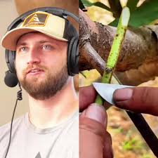 Cajun Hunter Swamp Deer