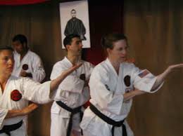 Ueshiro Shorin-ryu Karate USA