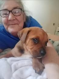 Willetts Funeral Services Ltd