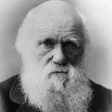 The name of charles darwin and his theory of natural selection are inexorably attached to evolution and, together with the mechanisms of genetics, form the basis of the modern theory of evolution. Charles Darwin Theory Book Quotes Biography