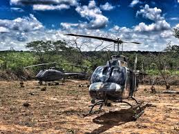 Check spelling or type a new query. Helicoptero Da Pm Do Parana Localiza Plantacao Com Tres Toneladas De Maconha No Sertao Nordestino Bem Parana