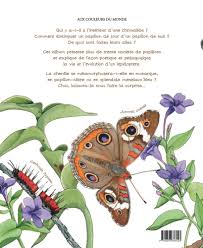 Trucs De Maitresse Page 2 Maitresse Patate Cycle De Vie Du Papillon Cycle De Vie Papillon