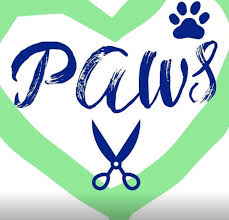For over 20 years, we have been pampering pets in the south tampa community. Gayborhood