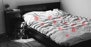 punaises de lit comment s en debarrasser