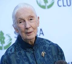 The Hill Sunday transcript. April 27, 2025