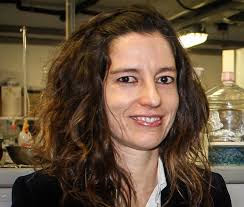 CICECO News » Andreia Sousa leads COST Action to develop sustainable  plastics