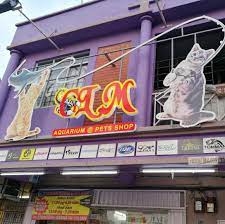 Meow station, a cat shop and cat hotel in melaka. Clm Aquarium Pets Shop Home Facebook