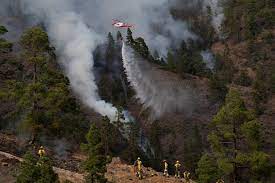 Check spelling or type a new query. Estabilizado El Incendio Forestal En Tenerife Espana