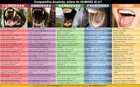 Comparitive Anatomy Diet Chart Carnivore Teeth Plant