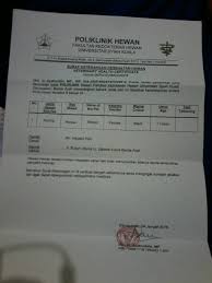 Contoh surat lamaran pekerjaan di rumah sakit 15. Contoh Surat Dokter Siloam Contoh Surat