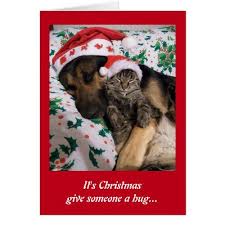 Funny Cute Cat Dog Christmas Hugs Greeting Card Funny Cute Cats Pet Holiday Cards Christmas Dog