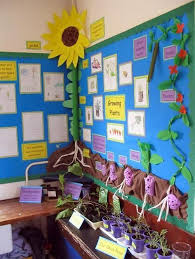 Parts Of A Plant Teaching Ideas Teaching Momster Teaching Displays Classroom Displays Primary Teaching Displays