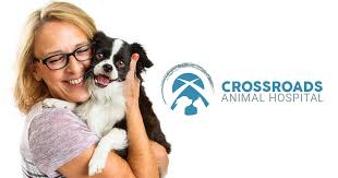 © 2020 by animal urgent care, inc proudly created with wix.com. Crossroads Animal Hospital Northwest In Veterinarian 24hr Vet Clinic