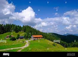 Gindelalmschneid, Gindelalm, Gindlalm, Schliersee, Upper Bavaria, Bavaria,  Germany Stock Photo - Alamy